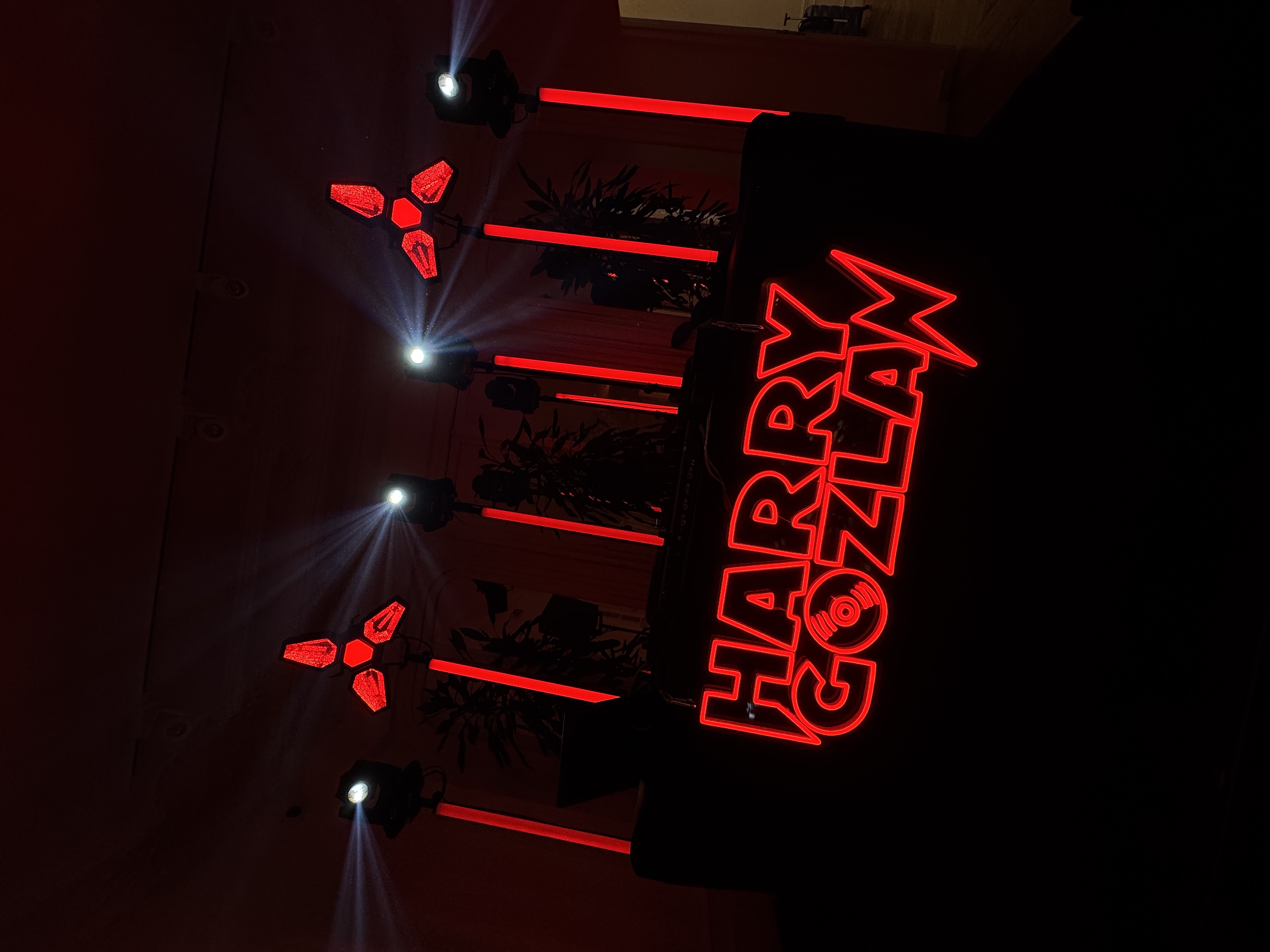 Harry Gozlan DJ petite scène logo